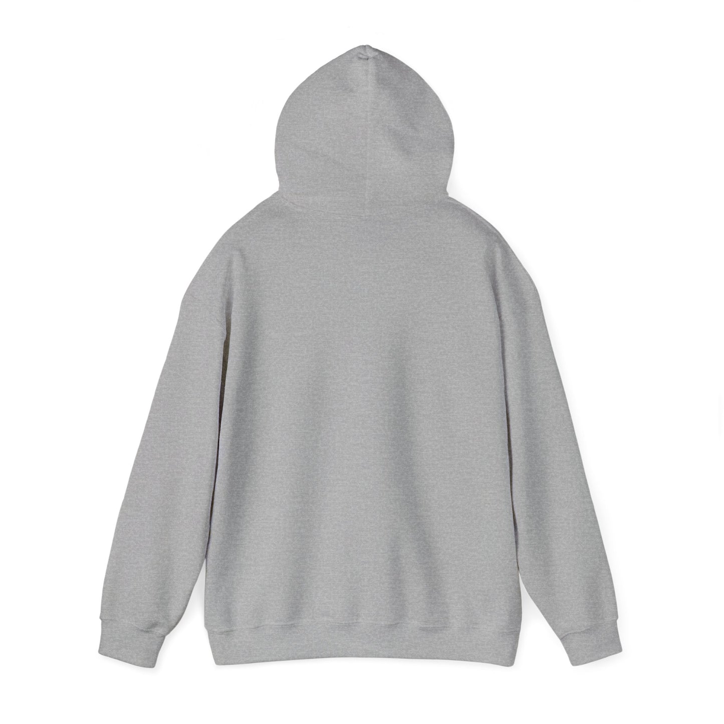 TBR Hoodie
