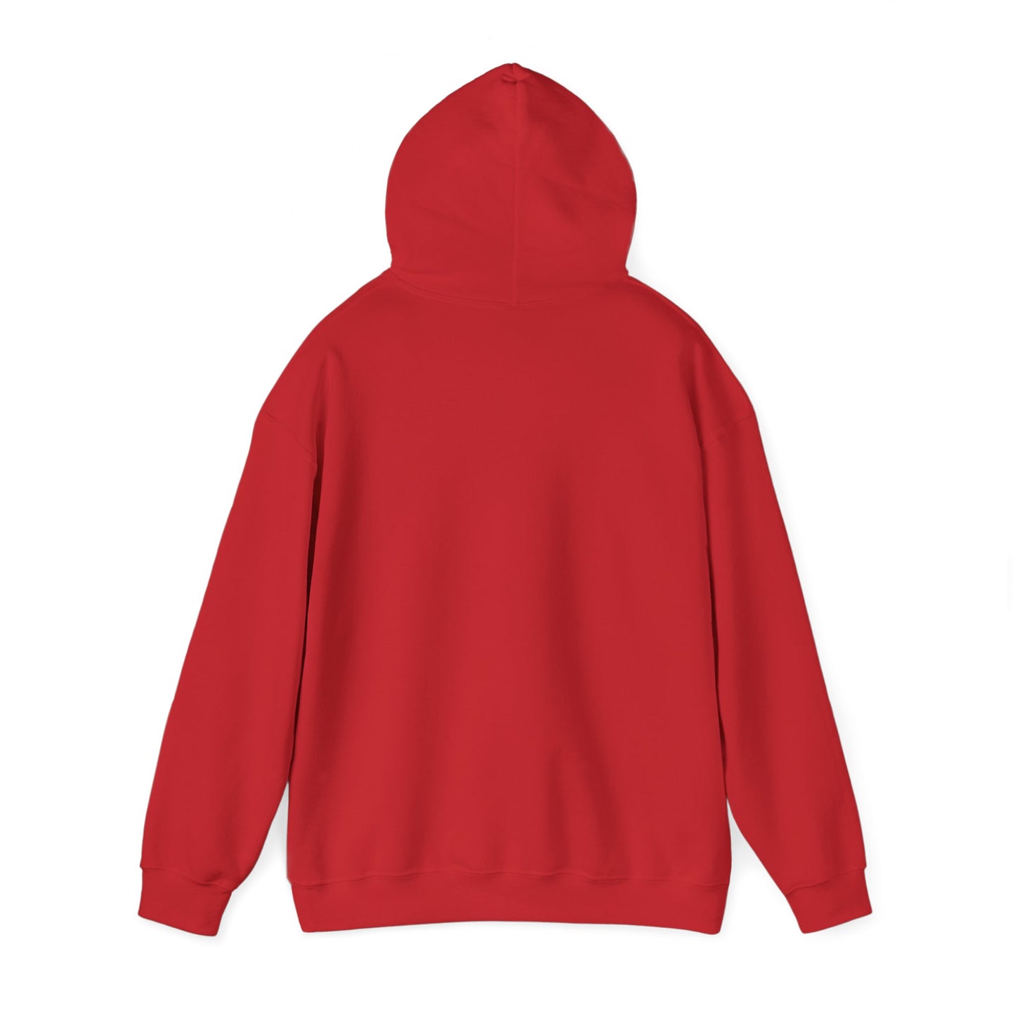 TBR Hoodie