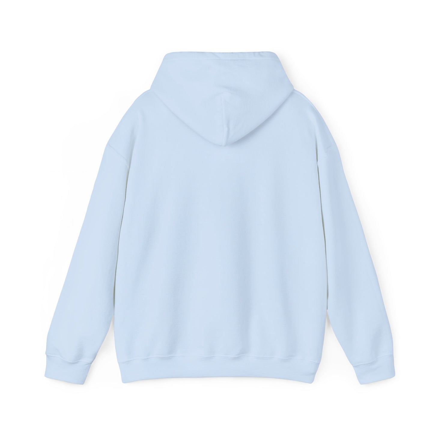 TBR Hoodie